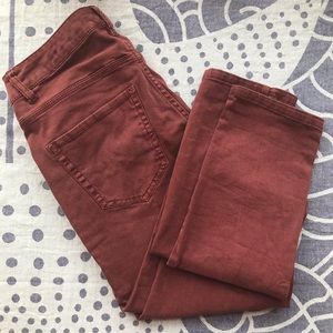 Brick Red Skinny+Stretchy Pants